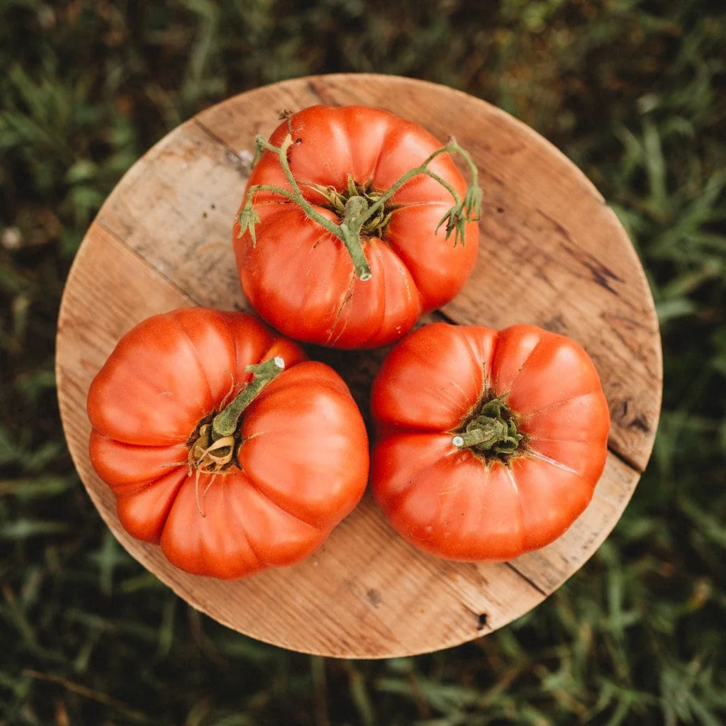 German Johnson Tomatoes